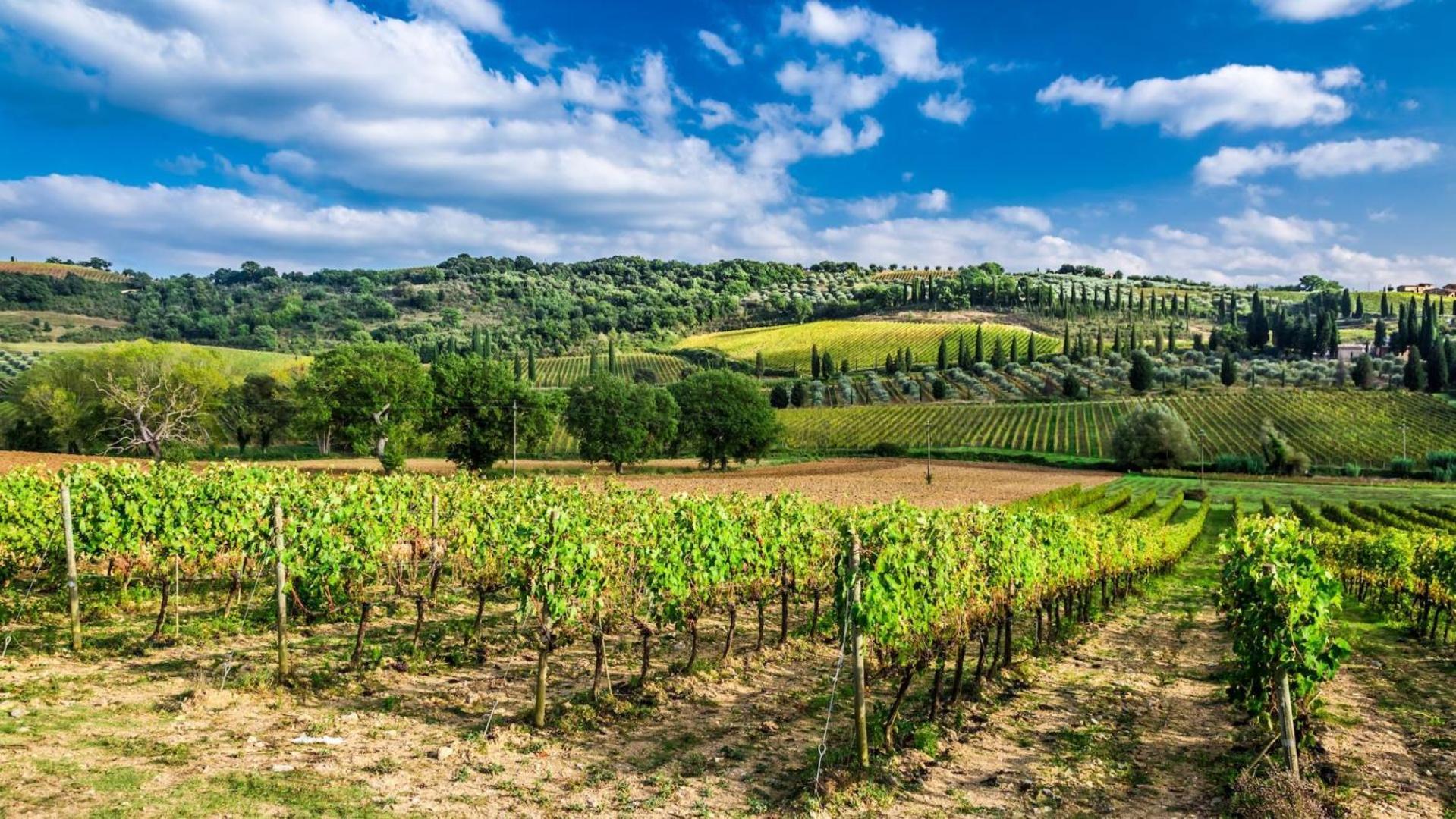 Terre Gialle - La Val D'Orcia Nascosta Castel del Piano  Bagian luar foto