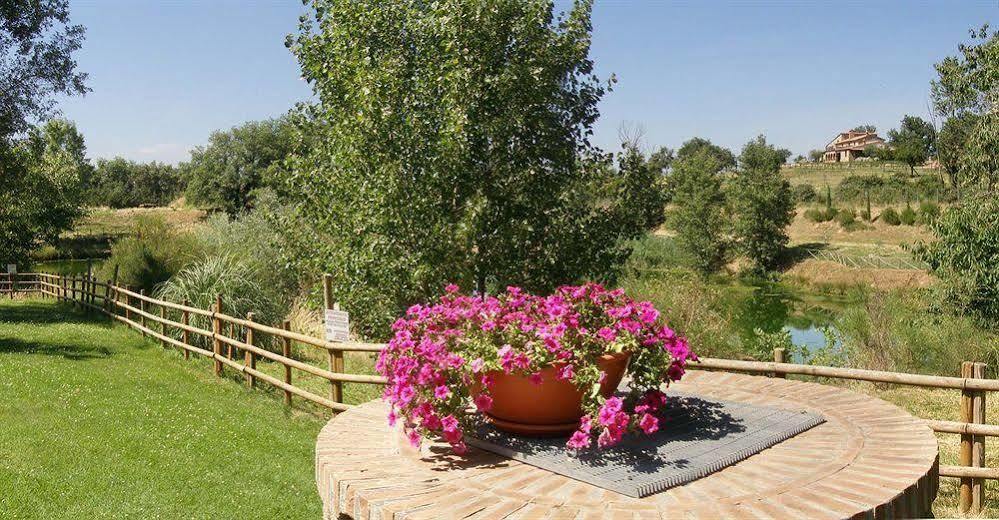 Terre Gialle - La Val D'Orcia Nascosta Castel del Piano  Bagian luar foto
