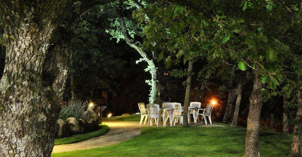 Terre Gialle - La Val D'Orcia Nascosta Castel del Piano  Bagian luar foto